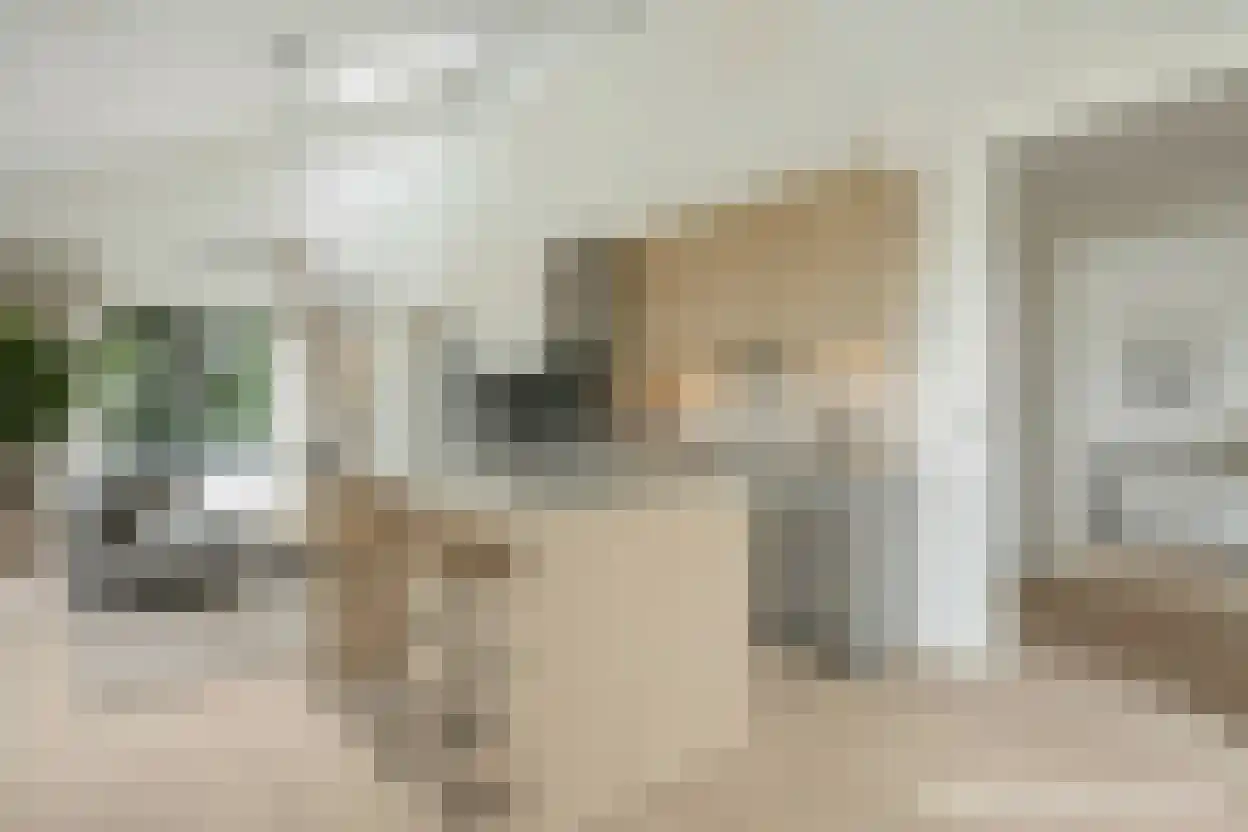 Oude Elburgerweg 4 Hattemerbroek thumbnail 6
