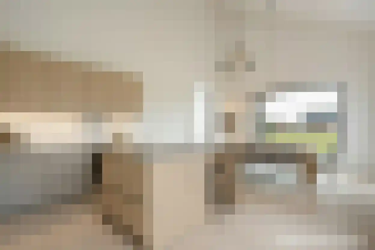 Oude Elburgerweg 4 Hattemerbroek thumbnail 8