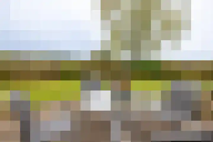 Oude Eltenseweg 18 Beek thumbnail 15