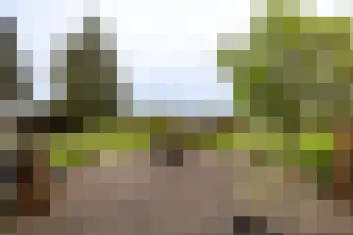 Oude Eltenseweg 18 Beek thumbnail 17