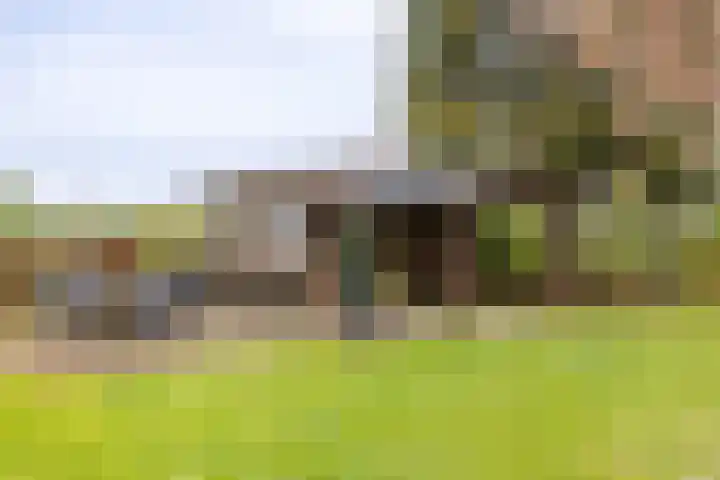 Oude Eltenseweg 18 Beek thumbnail 18