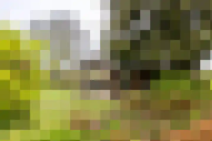 Oude Eltenseweg 18 Beek thumbnail 19