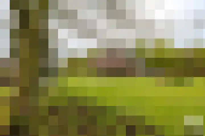 Oude Eltenseweg 18 Beek thumbnail 21