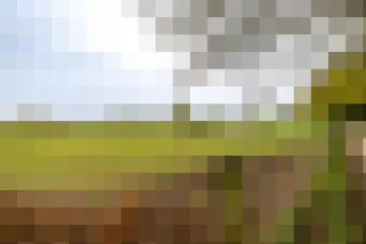 Oude Eltenseweg 18 Beek thumbnail 25