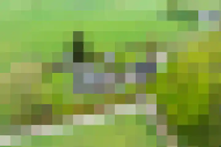 Oude Eltenseweg 18 Beek thumbnail 51