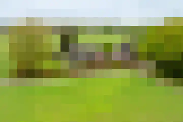 Oude Eltenseweg 18 Beek thumbnail 52