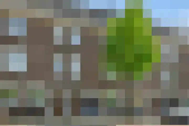Oude Engelenseweg 36 's-Hertogenbosch thumbnail 35