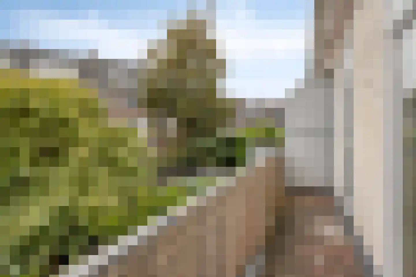 Oude Engelenseweg 40 's-Hertogenbosch thumbnail 4