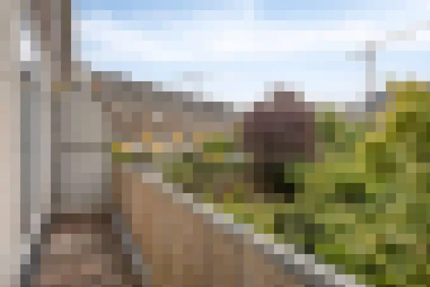 Oude Engelenseweg 40 's-Hertogenbosch thumbnail 5