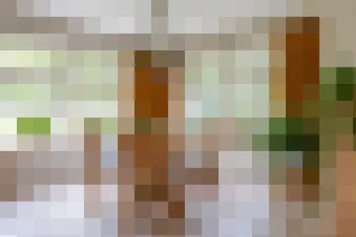 Oude Enschedeseweg 32 Haaksbergen thumbnail 14
