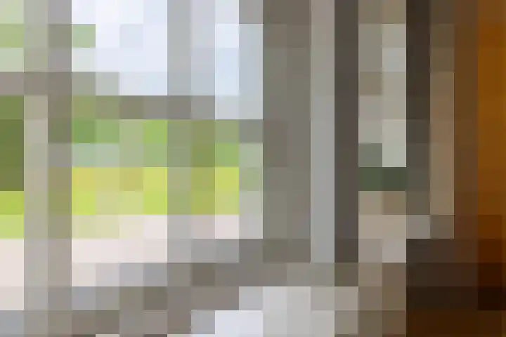 Oude Enschedeseweg 32 Haaksbergen thumbnail 21