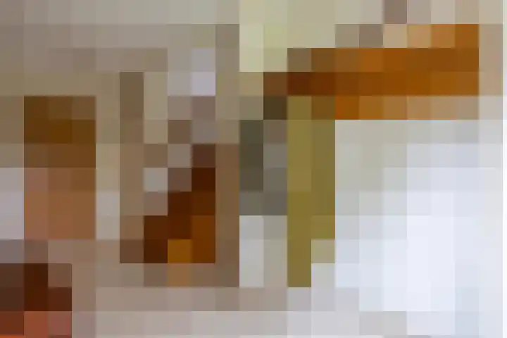 Oude Enschedeseweg 32 Haaksbergen thumbnail 29