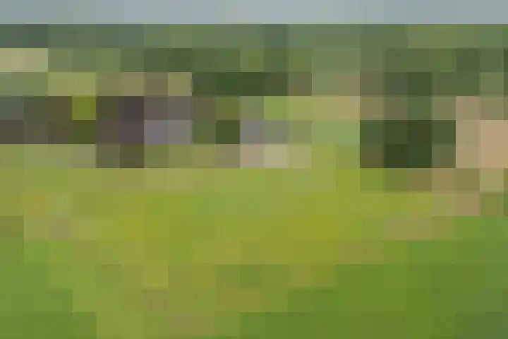Oude Enschedeseweg 32 Haaksbergen thumbnail 4