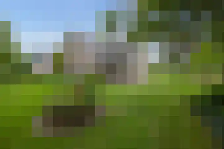 Oude Enschedeseweg 32 Haaksbergen thumbnail 40