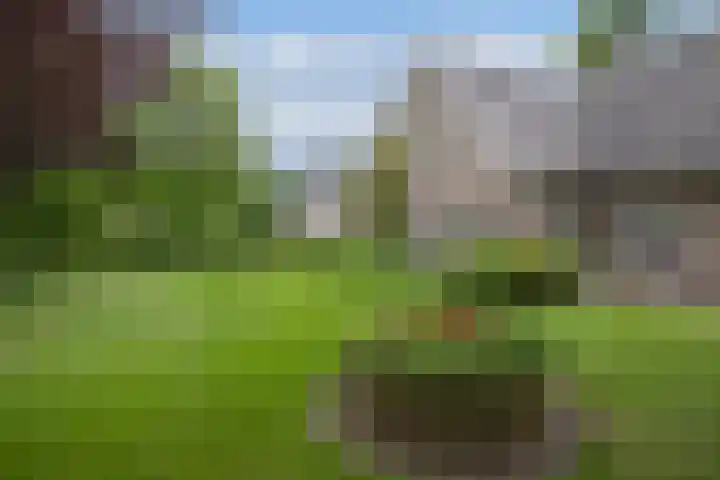 Oude Enschedeseweg 32 Haaksbergen thumbnail 41