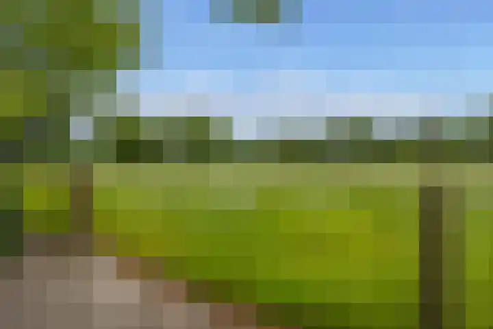 Oude Enschedeseweg 32 Haaksbergen thumbnail 48