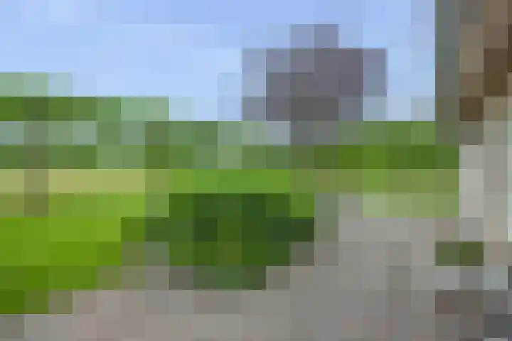 Oude Enschedeseweg 32 Haaksbergen thumbnail 49