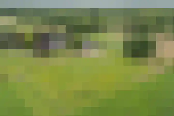 Oude Enschedeseweg 32 Haaksbergen thumbnail 50