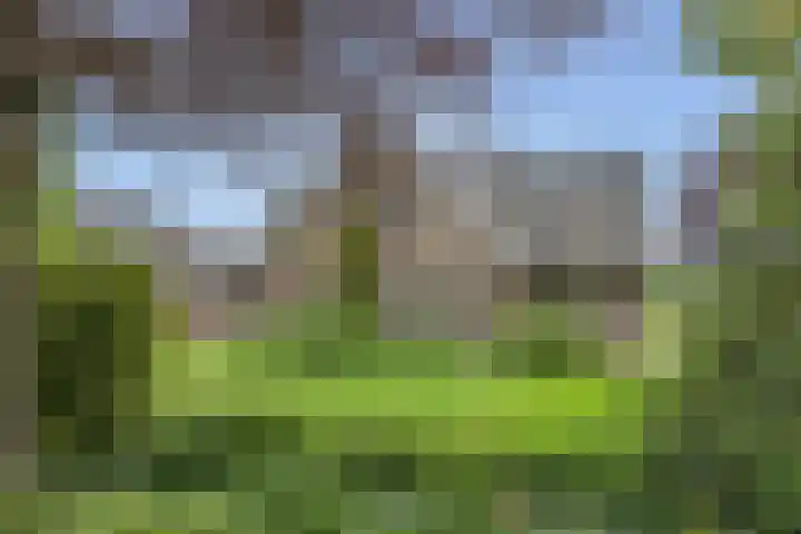 Oude Enschedeseweg 32 Haaksbergen thumbnail 6