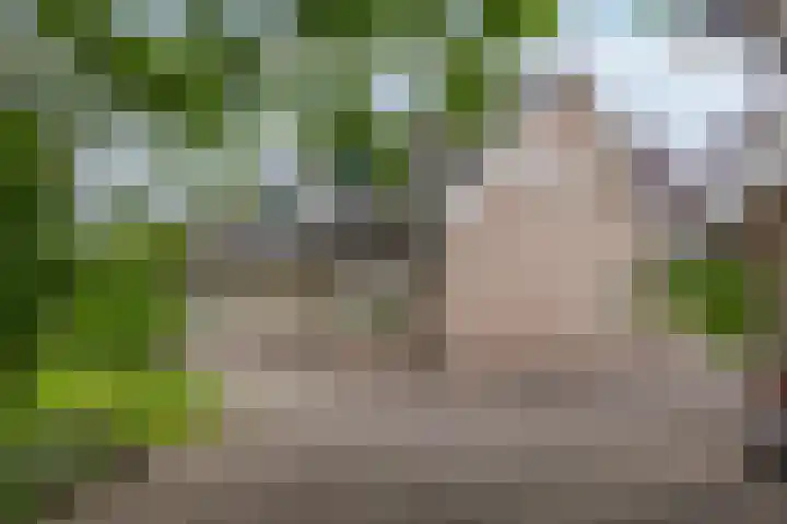 Oude Enschedeseweg 32 Haaksbergen thumbnail 7