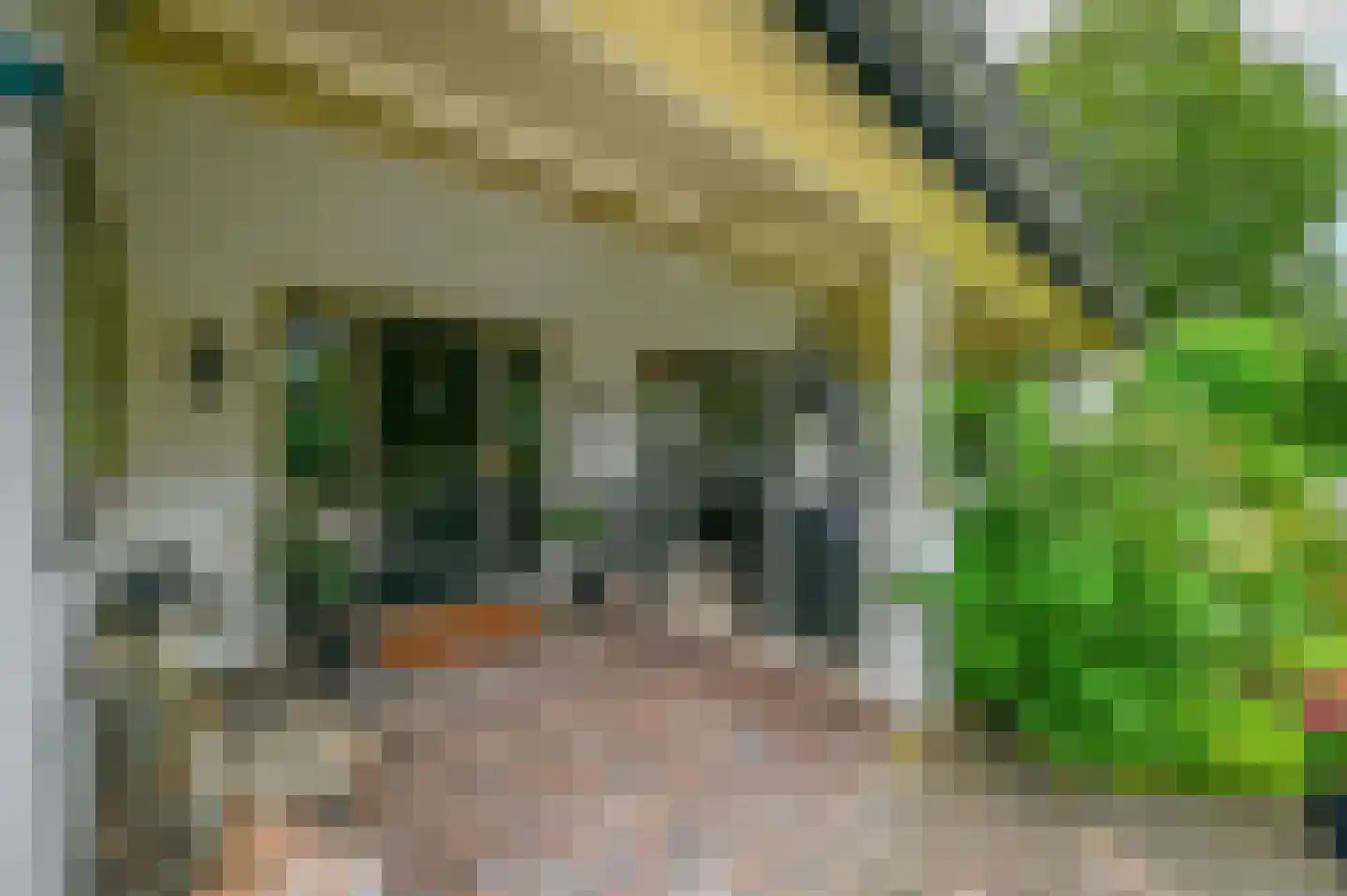 Oude Garderenseweg 15 Putten thumbnail 33