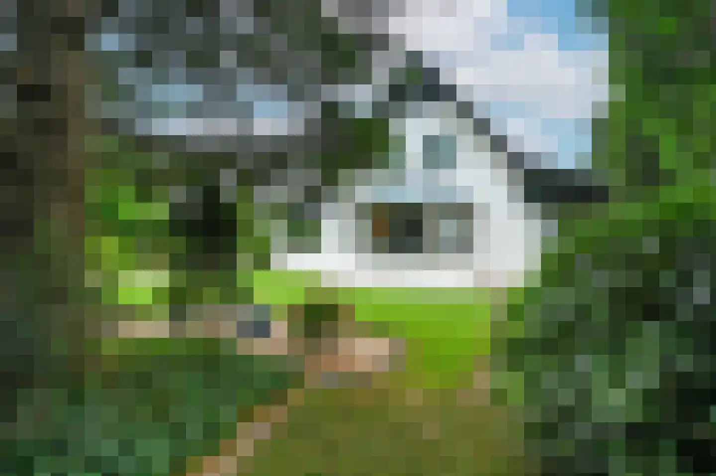 Oude Garderenseweg 15 Putten thumbnail 35