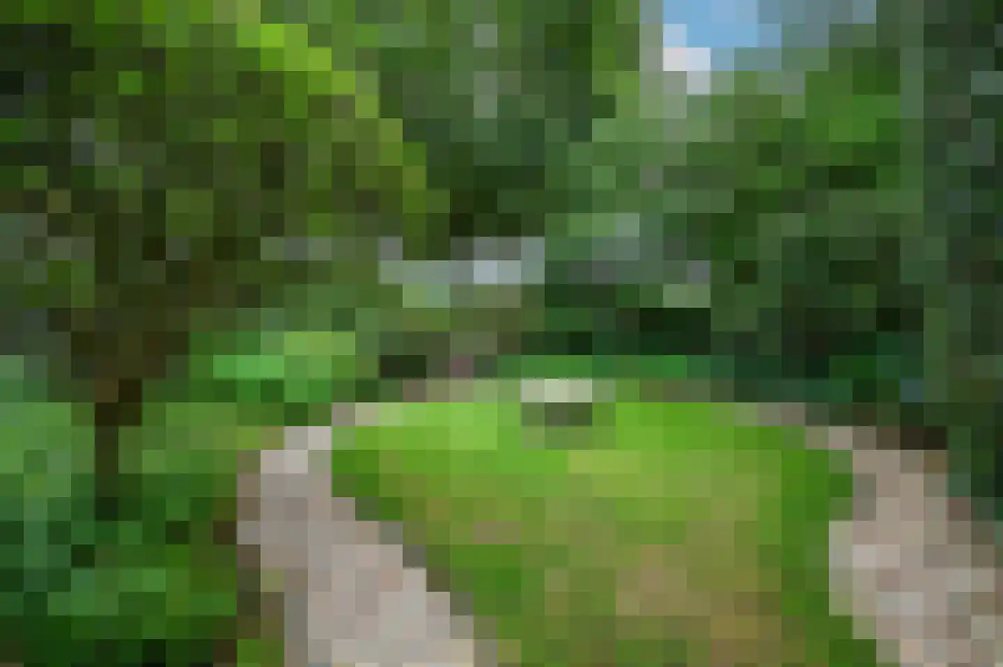 Oude Garderenseweg 15 Putten thumbnail 39