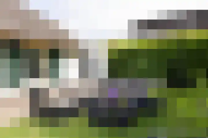 Oude Garderenseweg 18 12 Putten thumbnail 40