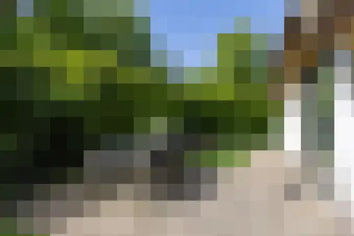 Oude Garderenseweg 18 12 Putten thumbnail 45
