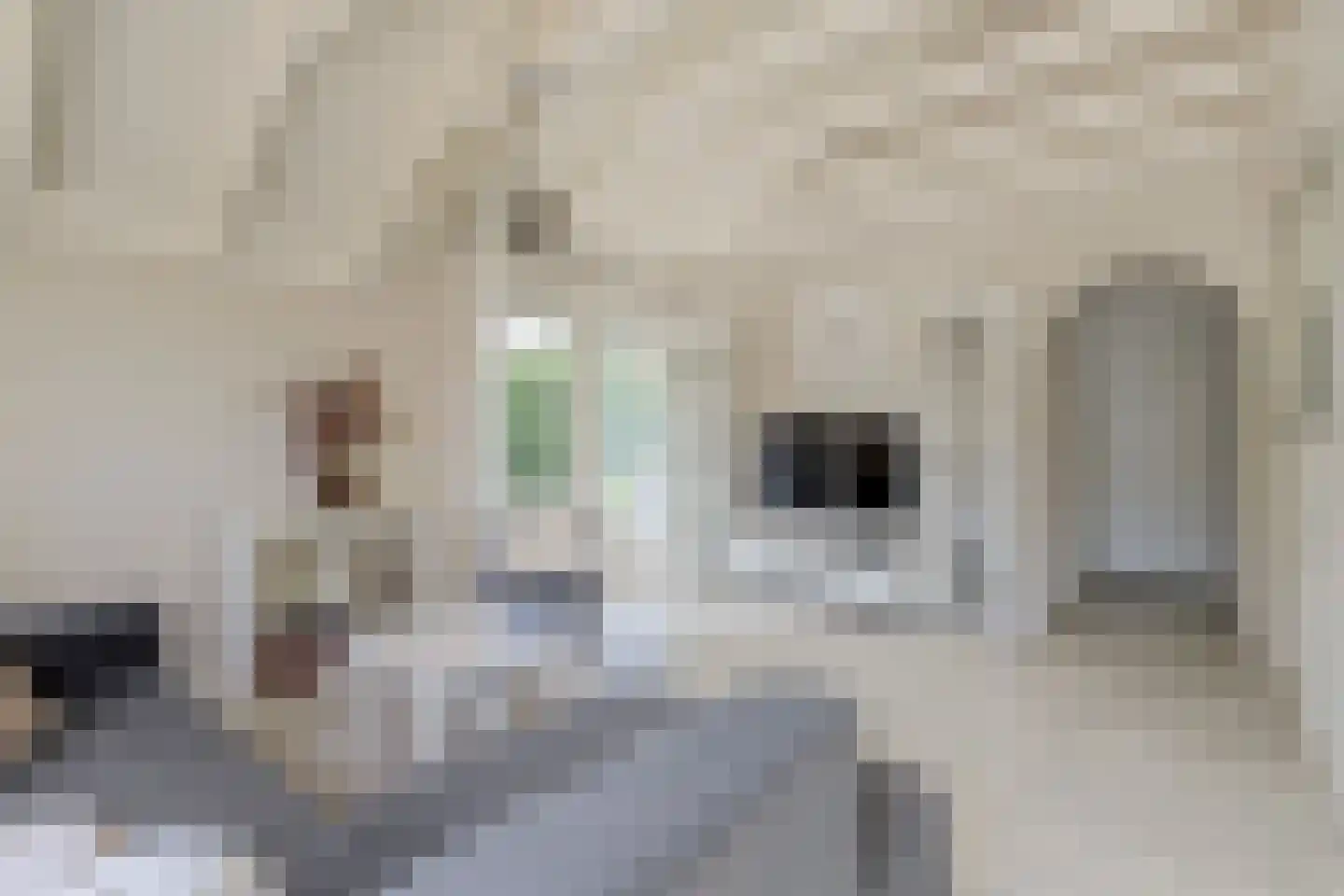 Oude Garderenseweg 18 B31 Putten thumbnail 10