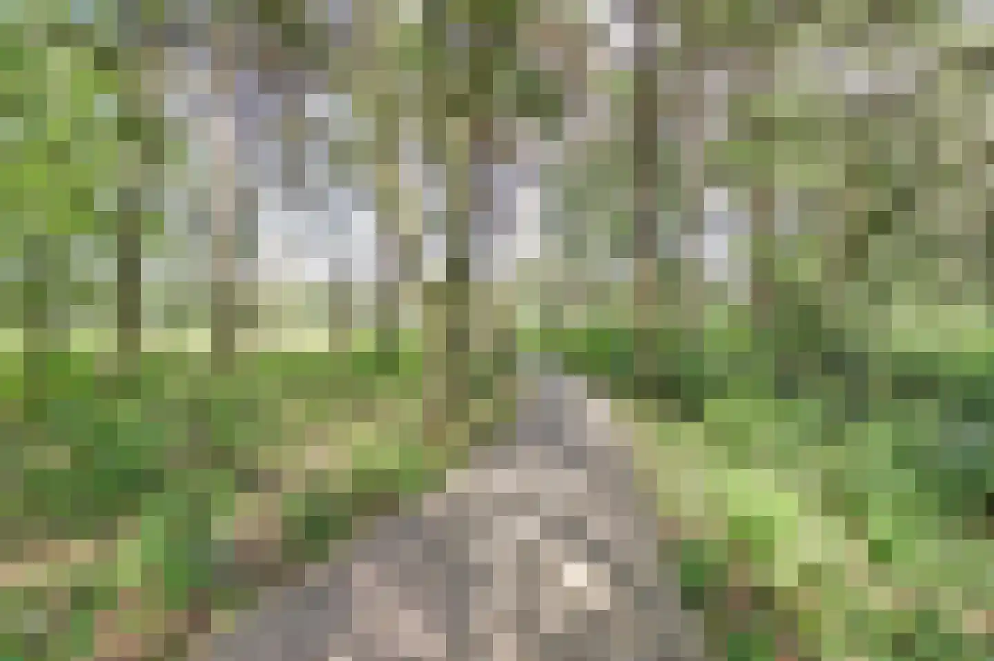 Oude Garderenseweg 18 B31 Putten thumbnail 48