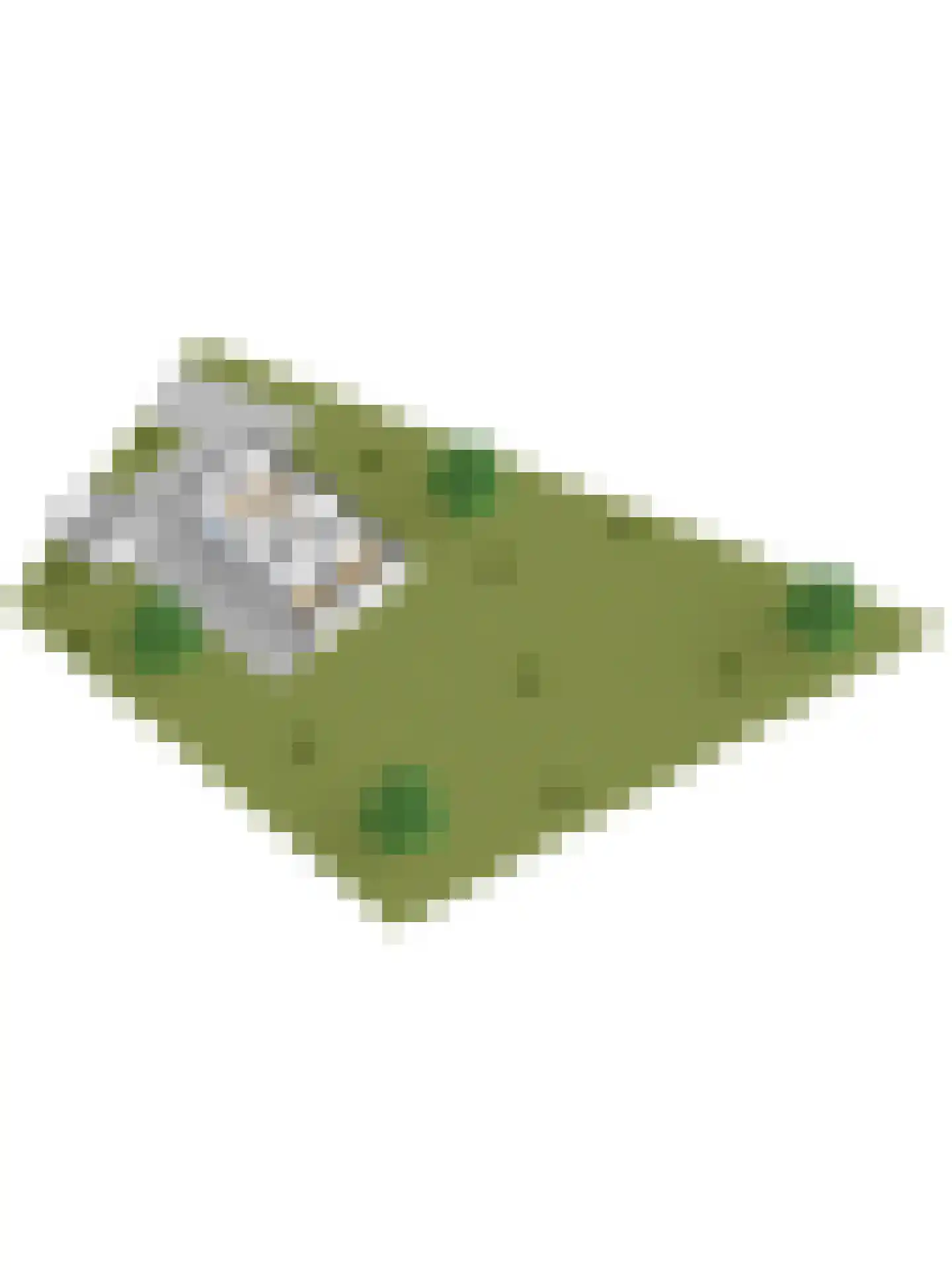 Oude Garderenseweg 18 B31 Putten thumbnail 51