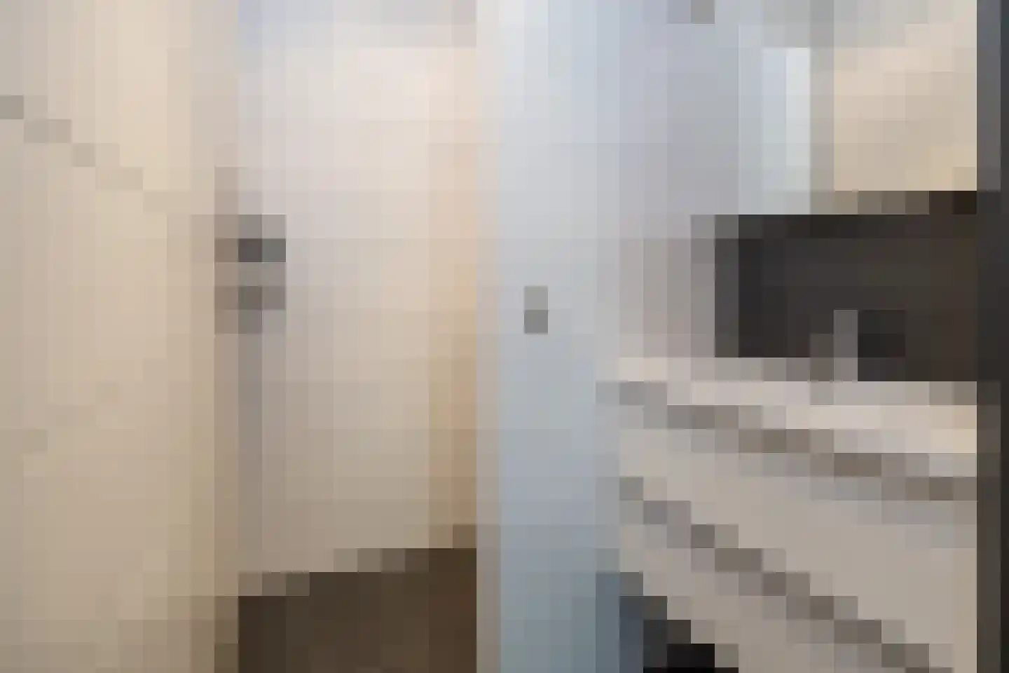 Oude Garderenseweg 2 Kootwijkerbroek thumbnail 19