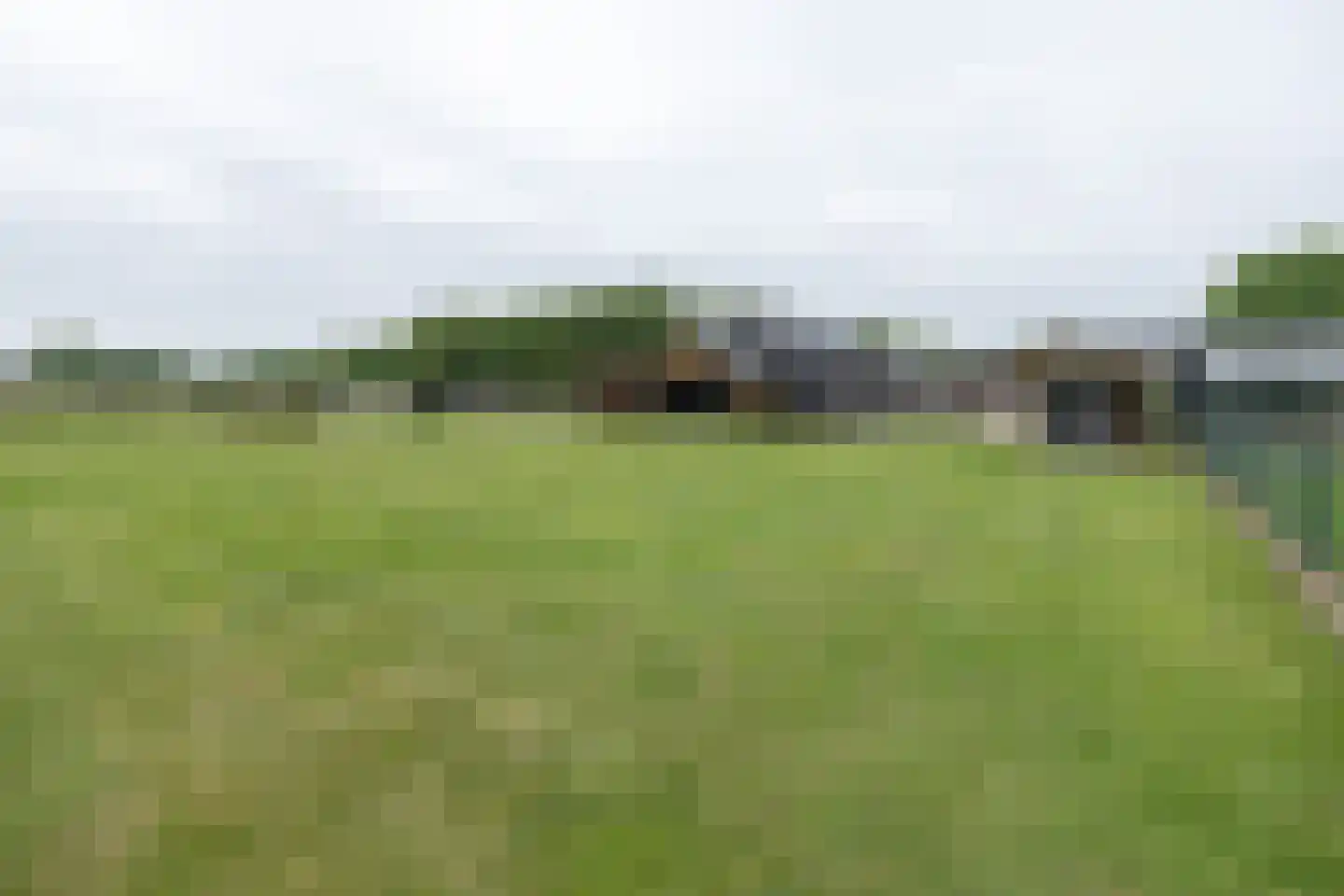 Oude Garderenseweg 2 Kootwijkerbroek thumbnail 36