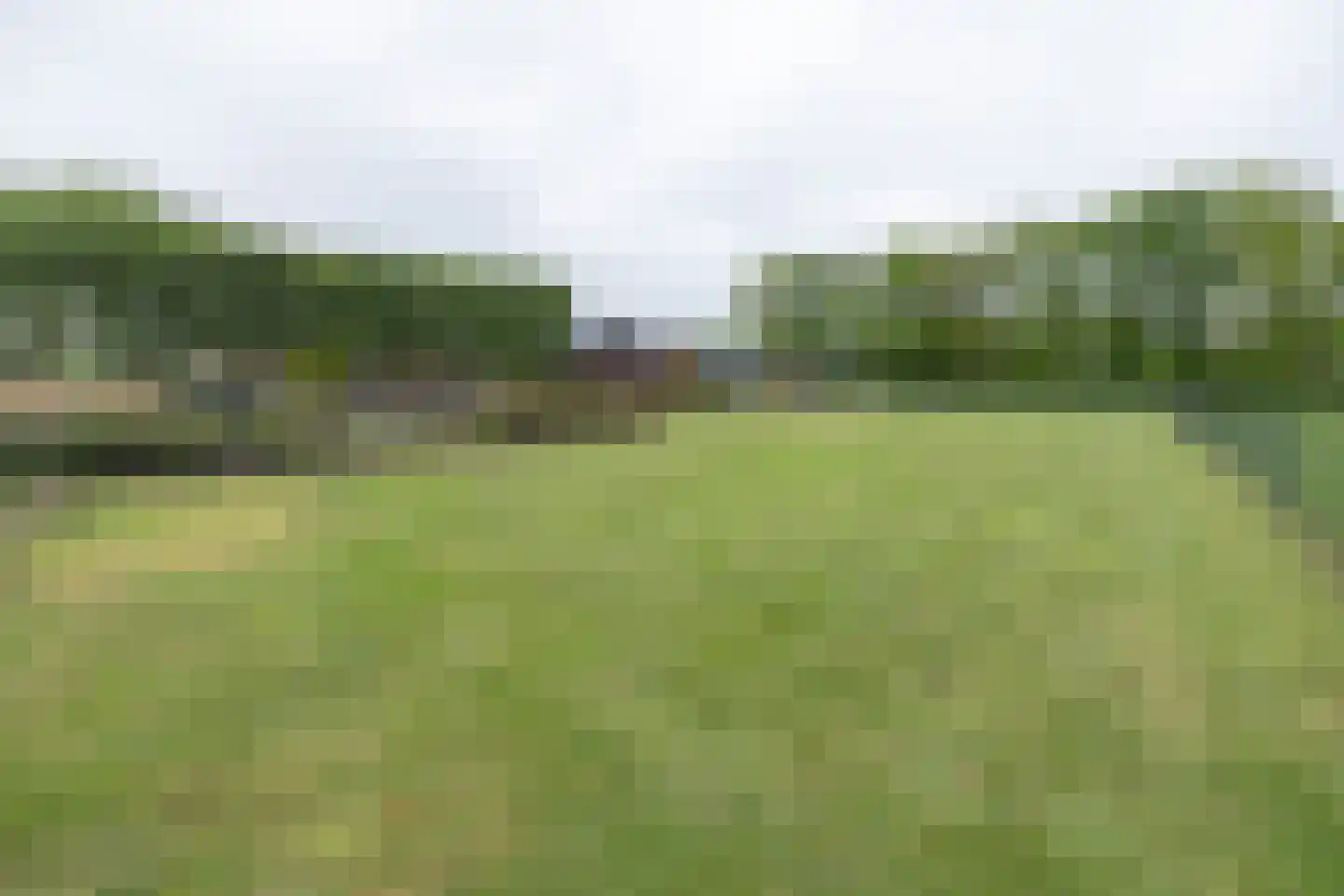 Oude Garderenseweg 2 Kootwijkerbroek thumbnail 38