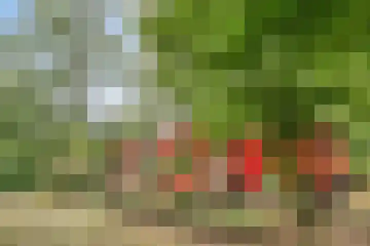 Oude Garderenseweg 24 A 10 Putten thumbnail 5