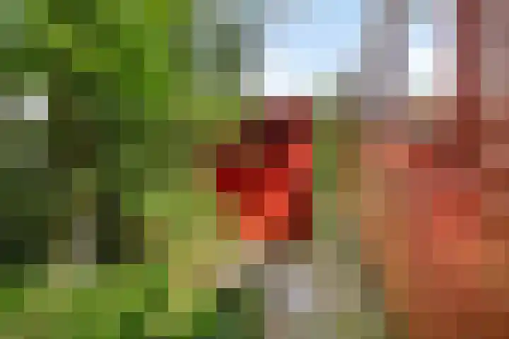 Oude Garderenseweg 24 A 10 Putten thumbnail 6