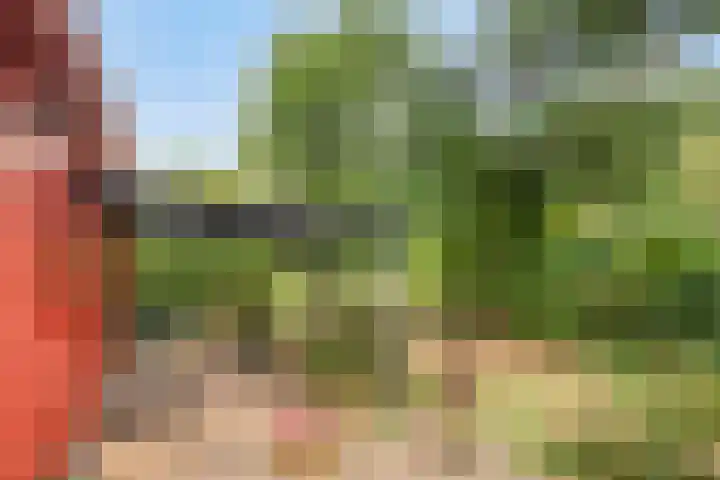 Oude Garderenseweg 24 A 10 Putten thumbnail 7