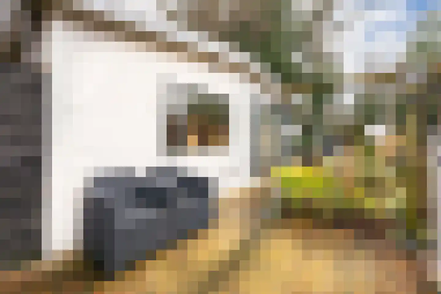 Oude Garderenseweg 24 A 2 Putten thumbnail 10