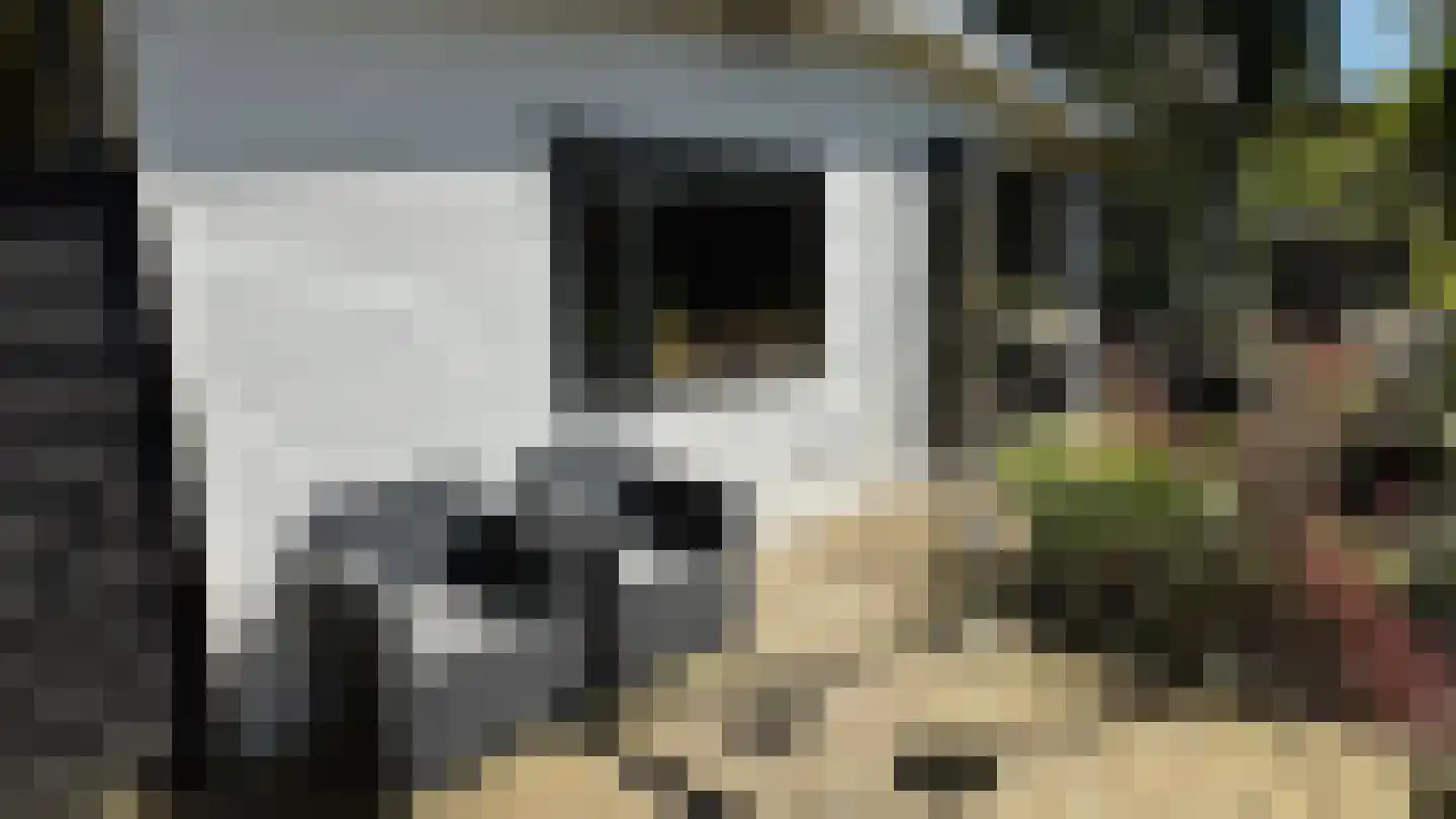 Oude Garderenseweg 24 A 2 Putten thumbnail 10