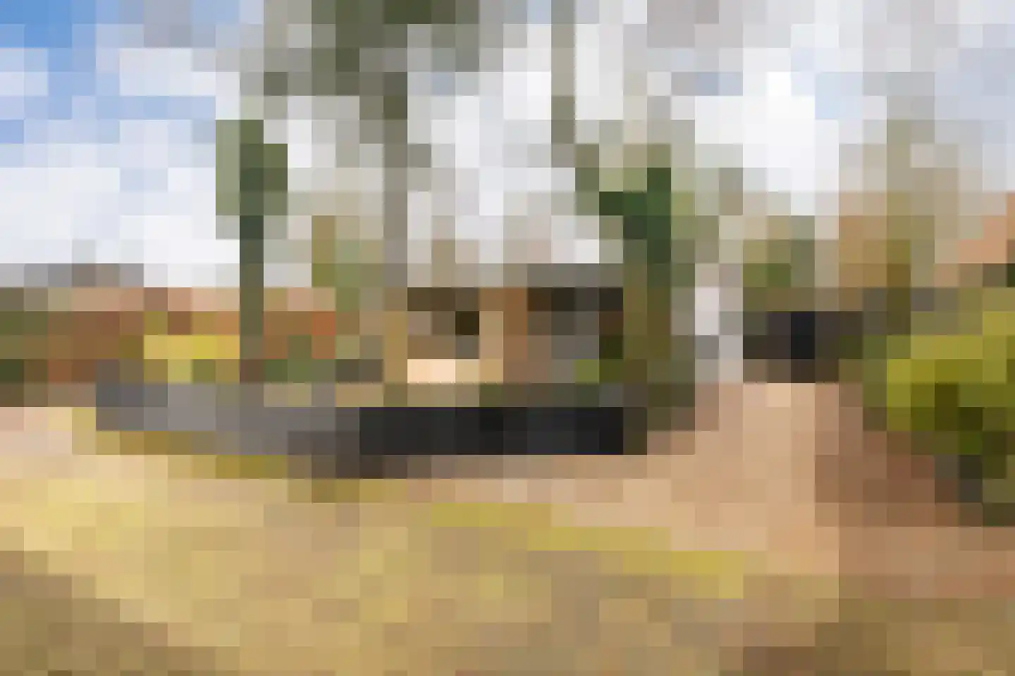 Oude Garderenseweg 24 A 2 Putten thumbnail 5