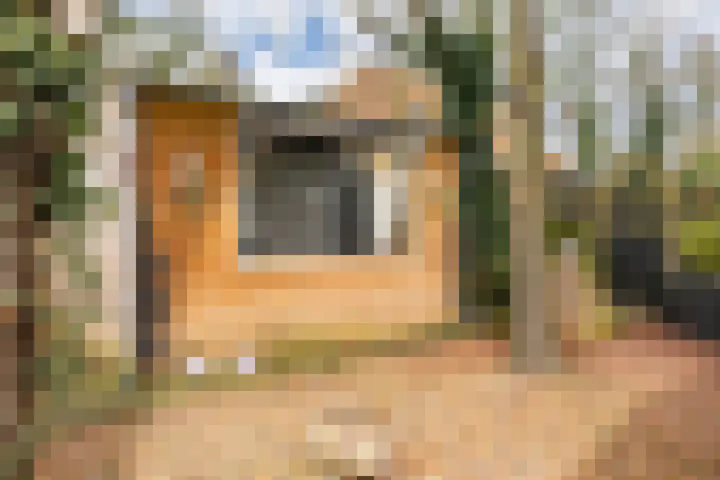 Oude Garderenseweg 24 A 2 Putten thumbnail 6
