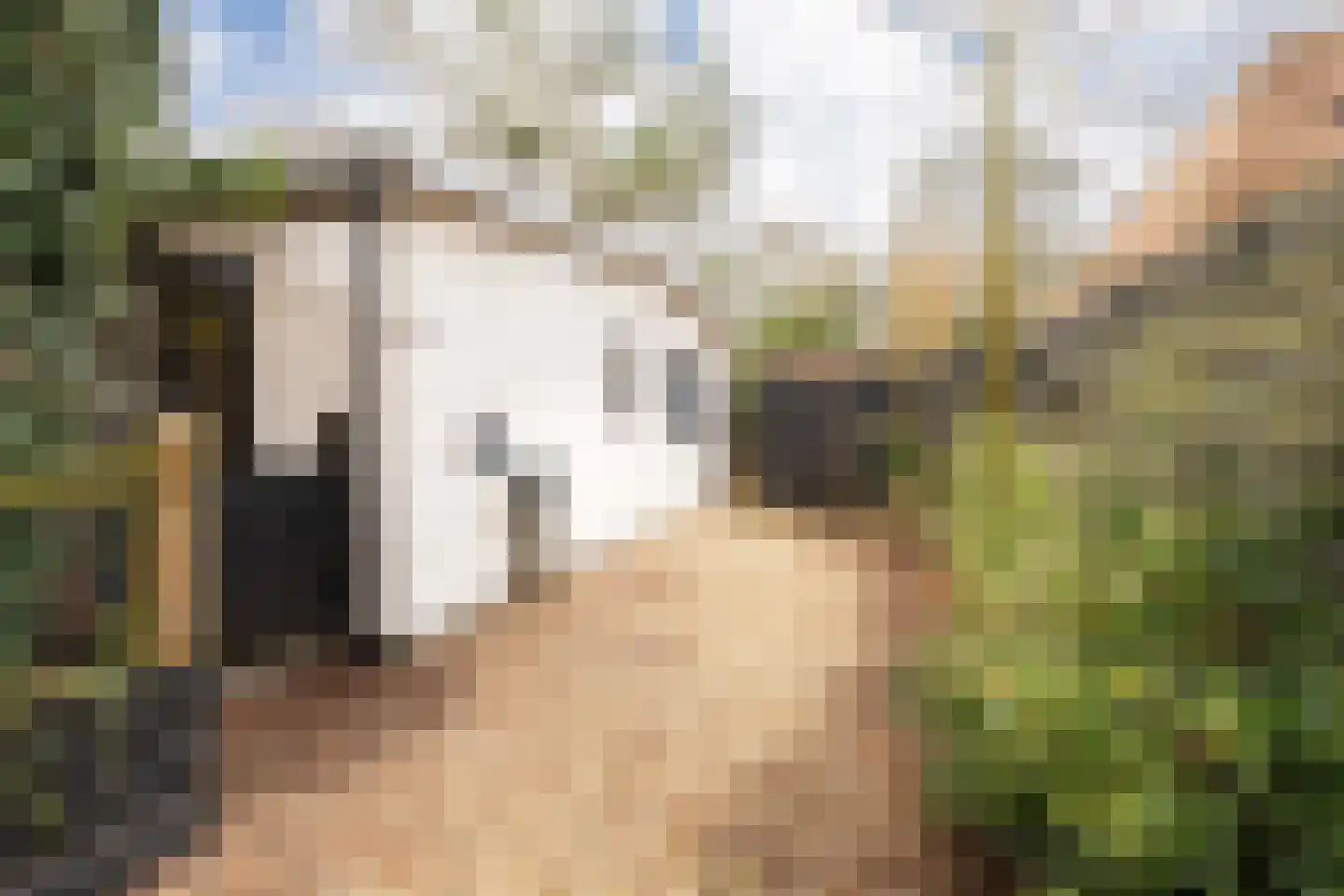 Oude Garderenseweg 24 A 2 Putten thumbnail 9