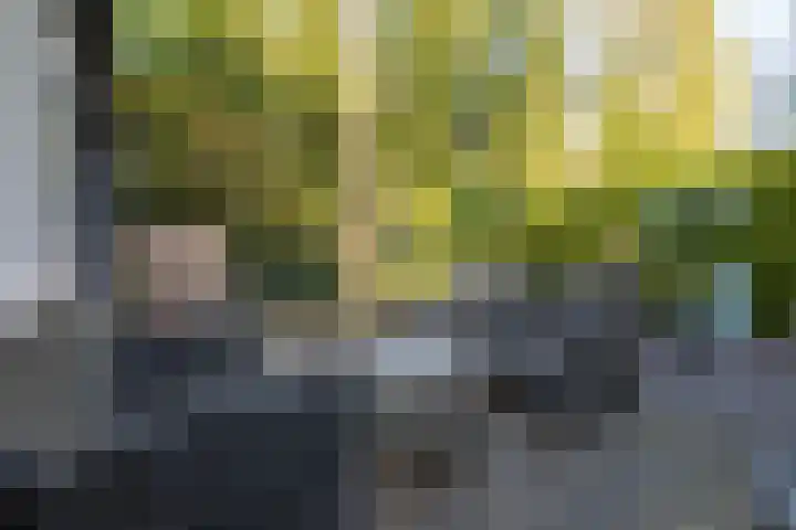 Oude Garderenseweg 24 A 4 Putten thumbnail 4
