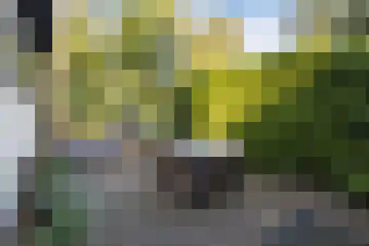 Oude Garderenseweg 24 A 4 Putten thumbnail 5