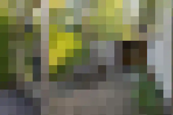 Oude Garderenseweg 24 A 4 Putten thumbnail 7