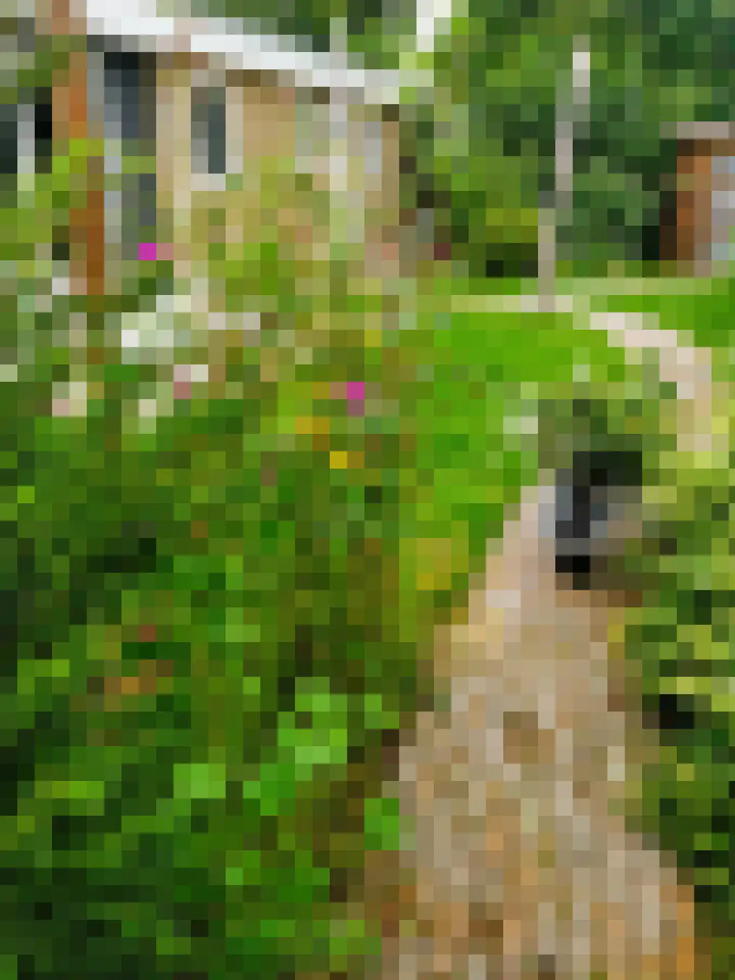 Oude Garderenseweg 3 105 Putten thumbnail 18