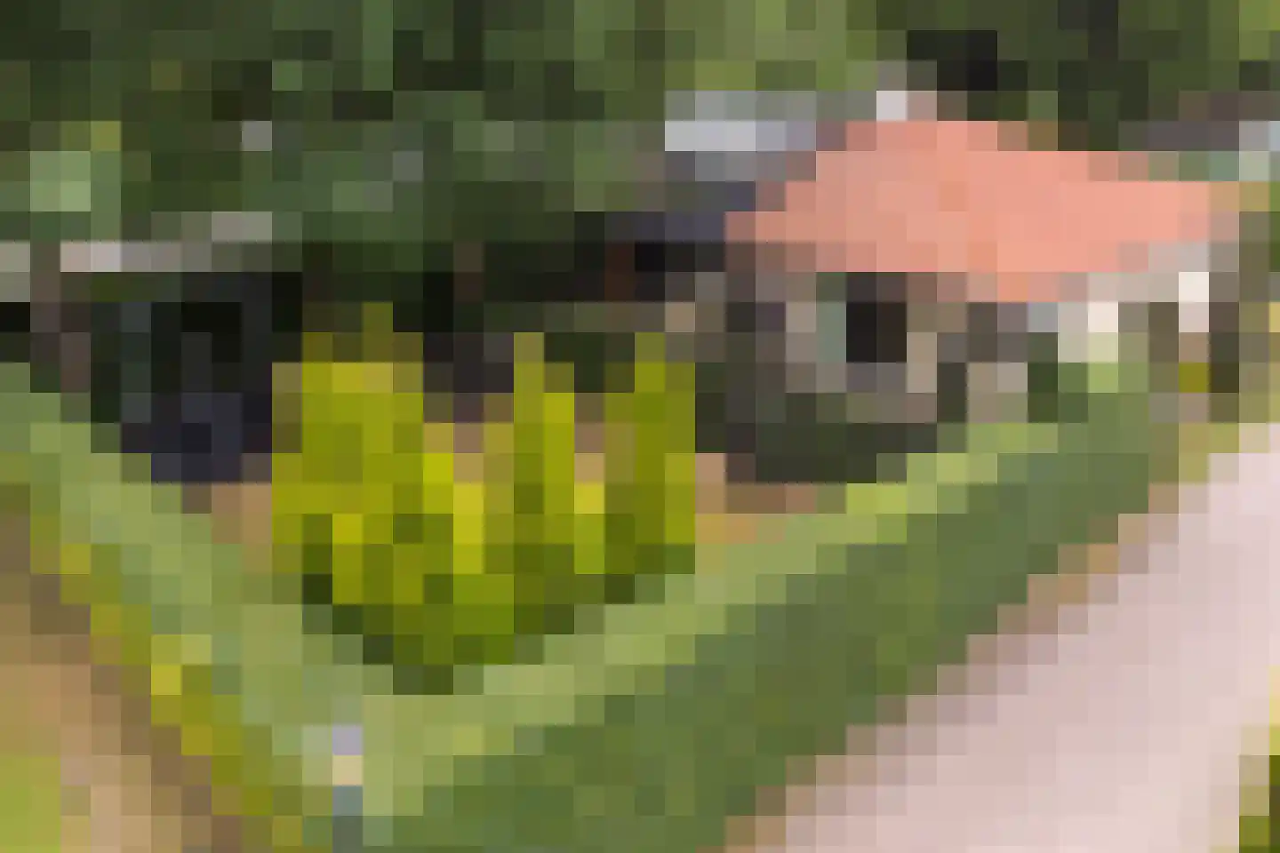Oude Garderenseweg 4 6 Putten thumbnail 5