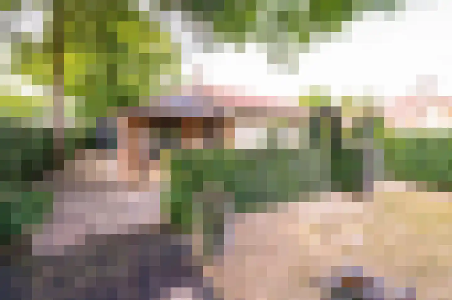 Oude Garderenseweg 4 6 Putten thumbnail 7