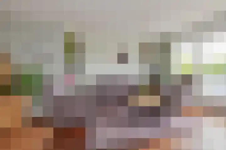 Oude Gemeneweg 17 Hazerswoude-Dorp thumbnail 11